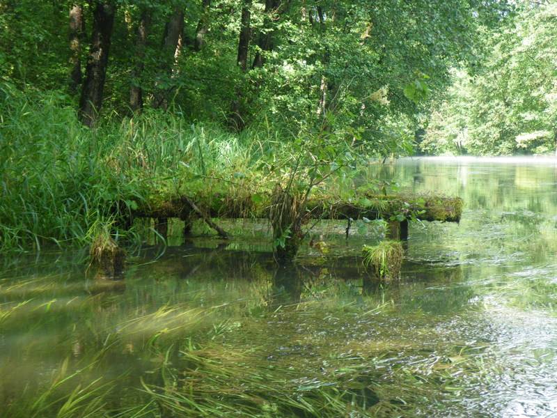 Pegnitz, hinter Engenthal