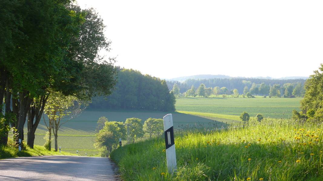 hinter Altomünster