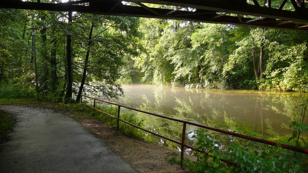 Eisenbahnbrücke Neuhaus, Nebel auf dem Wasser