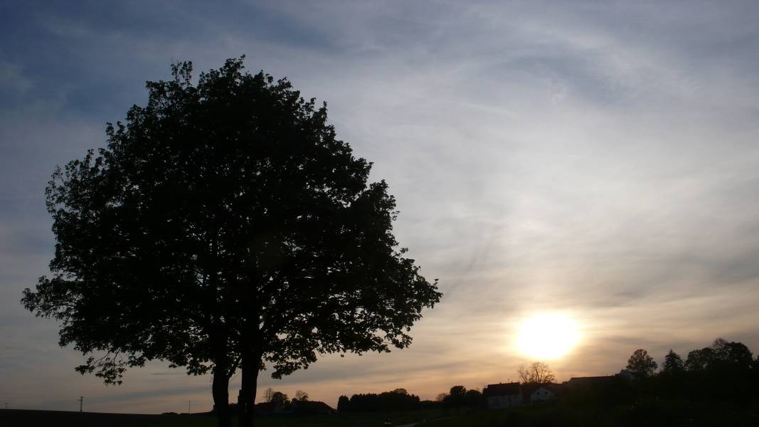 Sonnenuntergang im Weilachtal