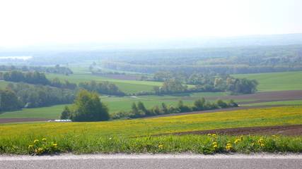 Blick runter zur Donau