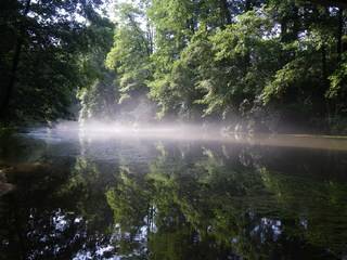 Pegnitz in Neuhaus