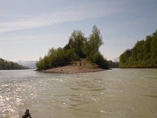 Mündung der Saalach (rechts) in die Salzach (links)