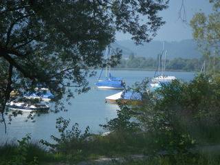 bei Ludwigshafen am Bodensee