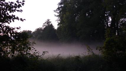 Nebel am Ostgraben